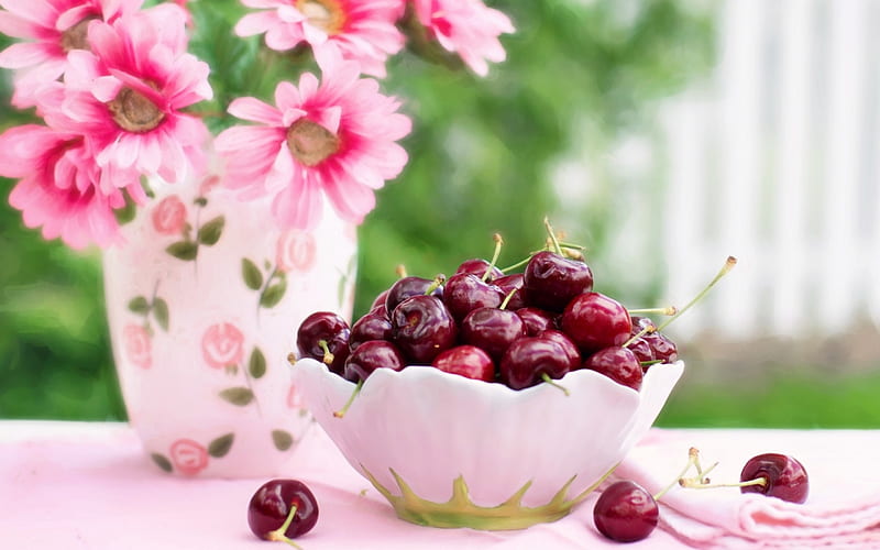 Have a sweet day!, red, vase, fruit, green, flower, white, pink, cherry, bowl, HD wallpaper