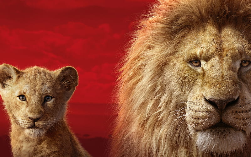 The Lion King poster, 2019 movie, Disney, 2019 The Lion King, HD wallpaper