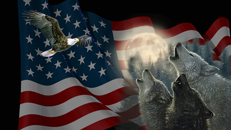 American Trinity, USA, Memorial Day, patriotic, eagle, red white and blue, Veterans Day, flag, United States, moon, Independence Day, wildlife, 4th of July, wolves, Firefox Persona theme, HD wallpaper