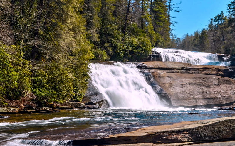 Wintergreen Falls, North Carolina, USA, Trees, Waterfall, Nature, HD wallpaper