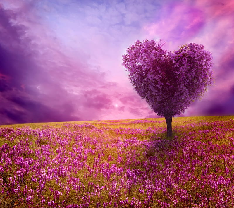 Love Tree, tree, purple, haze, romance, love, heart, flowers, field, HD wallpaper