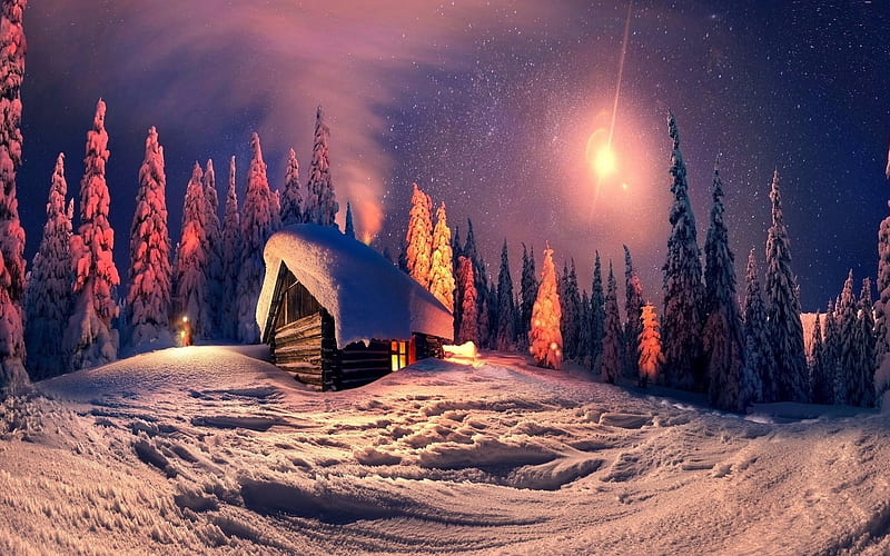 winter, forest, night, hut, stars, snow, HD wallpaper