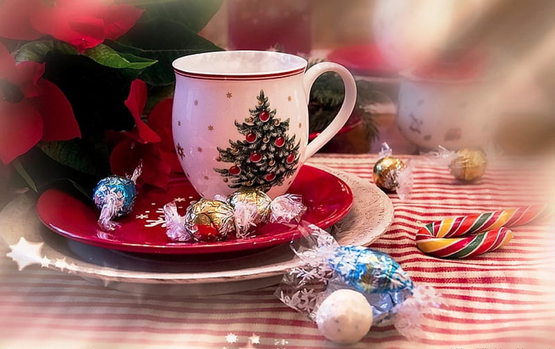 Cup, red, Christmas, candy, holidays, plates, abstract, winter, graphy, flower, white, HD wallpaper
