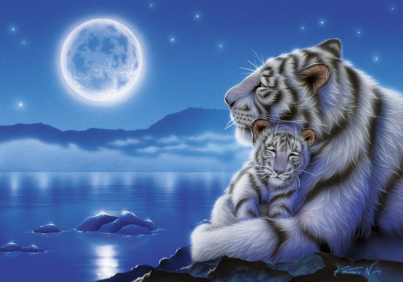 Tiger Love, stars, fantasy, moon, water, cub, evening, white, landscape, HD wallpaper