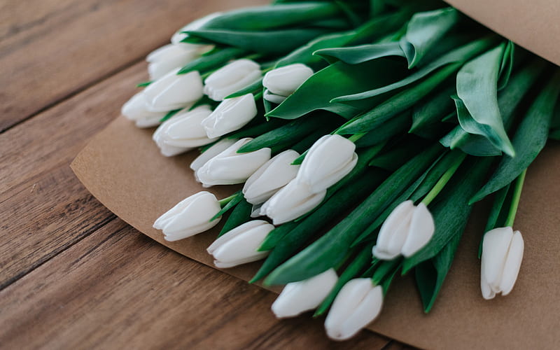white tulips, bouquet of tulips, white spring flowers, tulips, background with tulips, white beautiful flowers, HD wallpaper
