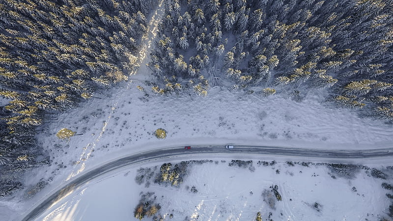 Birds Eye Aerial View Of Road Trees Winter , road, trees, winter, nature, HD wallpaper