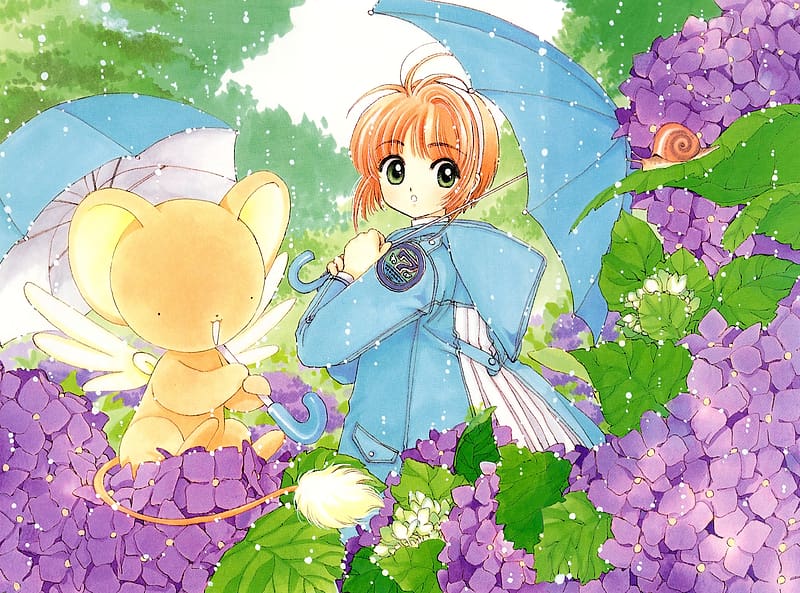 Anime, Snail, Cardcaptor Sakura, Sakura Kinomoto, Keroberos (Card Captor Sakura), HD wallpaper