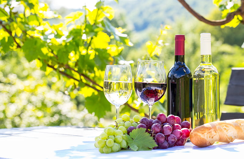A Good Wine, glass, grapes, twigs, leaves, bottle, HD wallpaper | Peakpx
