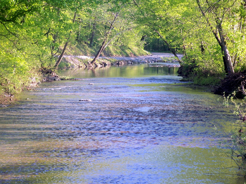 Lick Creek, Rural, Creek, Tennessee, Nature, HD wallpaper