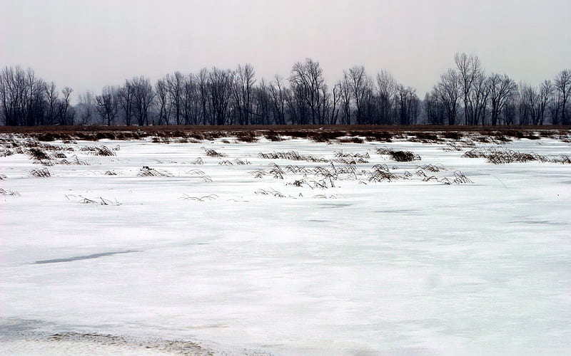 Snowy Cold winter-Natural landscape, HD wallpaper