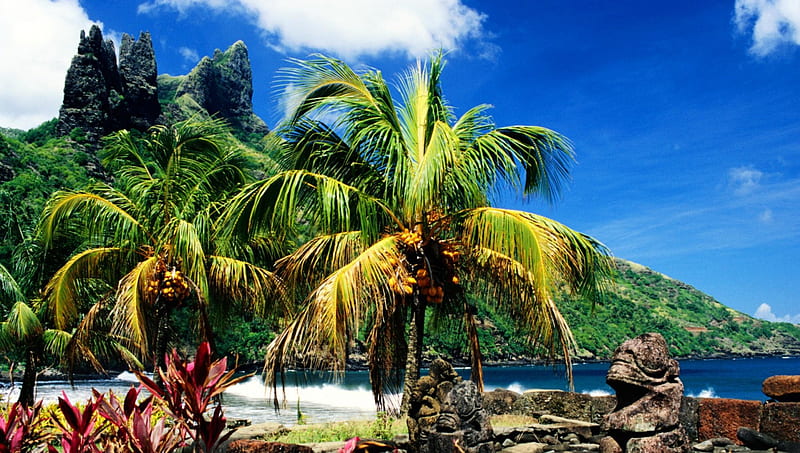 Hatiheu Beachfront, Nuku Hiva, Marquesas, beach, water, pacific, island, waves, tropical, palms, HD wallpaper