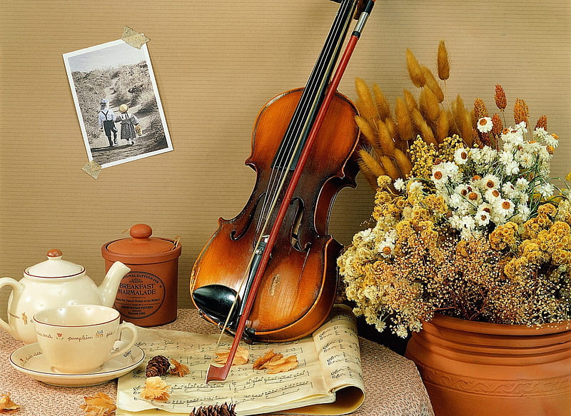Music Still Life, still life, instrument, violin, graphy, string, music, flowers, tea, HD wallpaper
