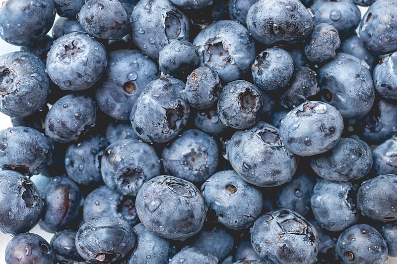 blueberry, fruit, berry, macro, drops, HD wallpaper