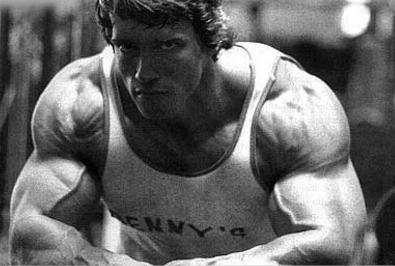 Arnold Schwarzenegger, bodybuilding, mrolympia, bodybuilders, toughguys, HD  wallpaper | Peakpx