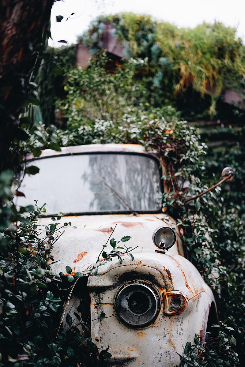 car, rust, ruins, bushes, HD phone wallpaper
