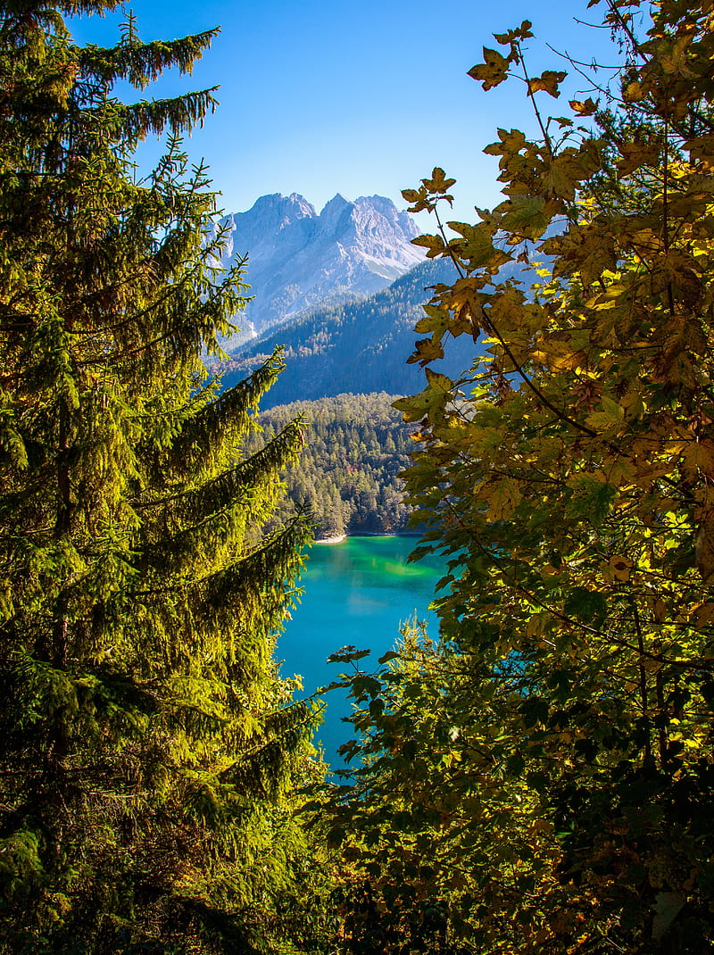 mountains, lake, branches, tyrol, austria, HD phone wallpaper