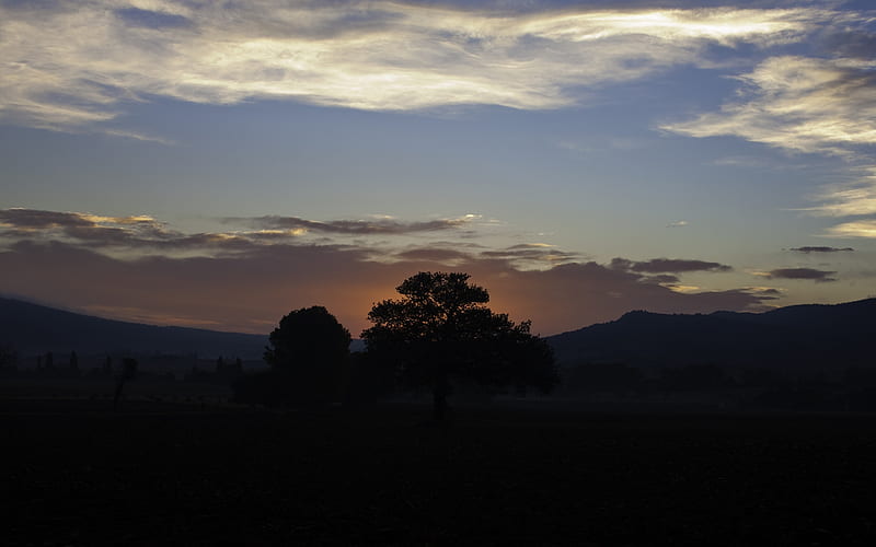Tree at Dawn, hills, dawn, bonito, twilight, clouds, valley, rolling, nature, fields, HD wallpaper