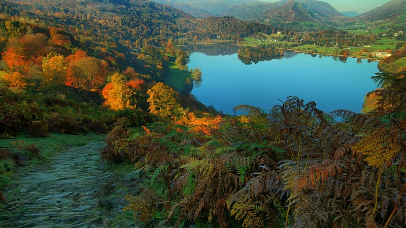 Lake District, Cumbria, England, trees, landscape, water, reflections, HD wallpaper