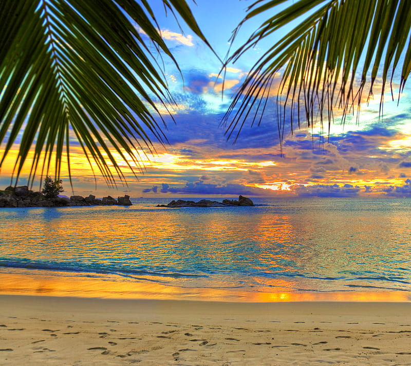 Tropical Sunset, beach, nature, palms, water, HD wallpaper | Peakpx