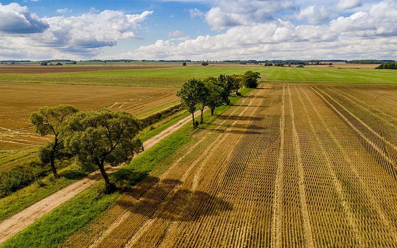 Fields after Harvest, Latvia, fields, trees, road, clouds, HD wallpaper