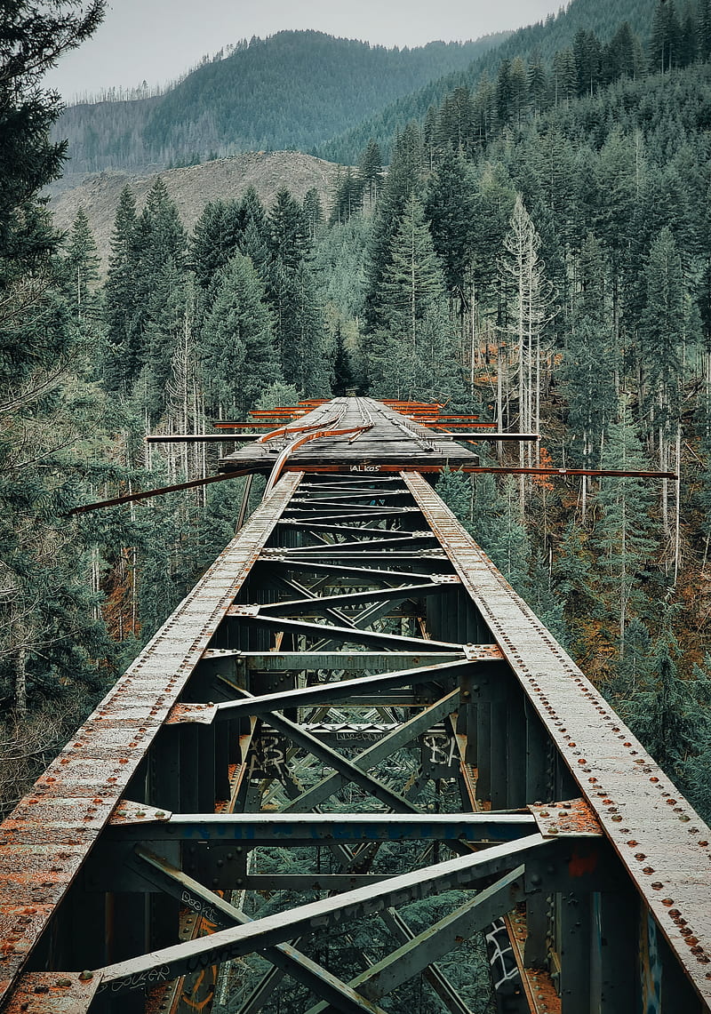 bridge, iron, mountains, forest, trees, HD phone wallpaper