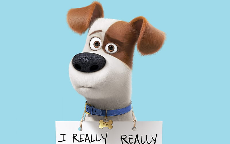 Max In The Secret Life Of Pets, the-secret-life-of-pets, movies, animated-movies, cartoons, HD wallpaper