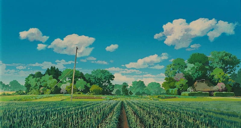 Studio Ghibli Fields, Studio Ghibli Beautiful, HD wallpaper