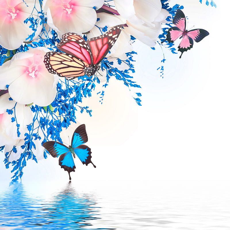 Floral Blossom, bonito, butterflies, colored, florals, flowers, spring, HD phone wallpaper