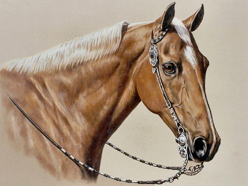 Palomino Quarter horse 2, art, palomino, donald schwartz, equine, quarterhorse, horse, artwork, western tack, schwartz, painting, HD wallpaper
