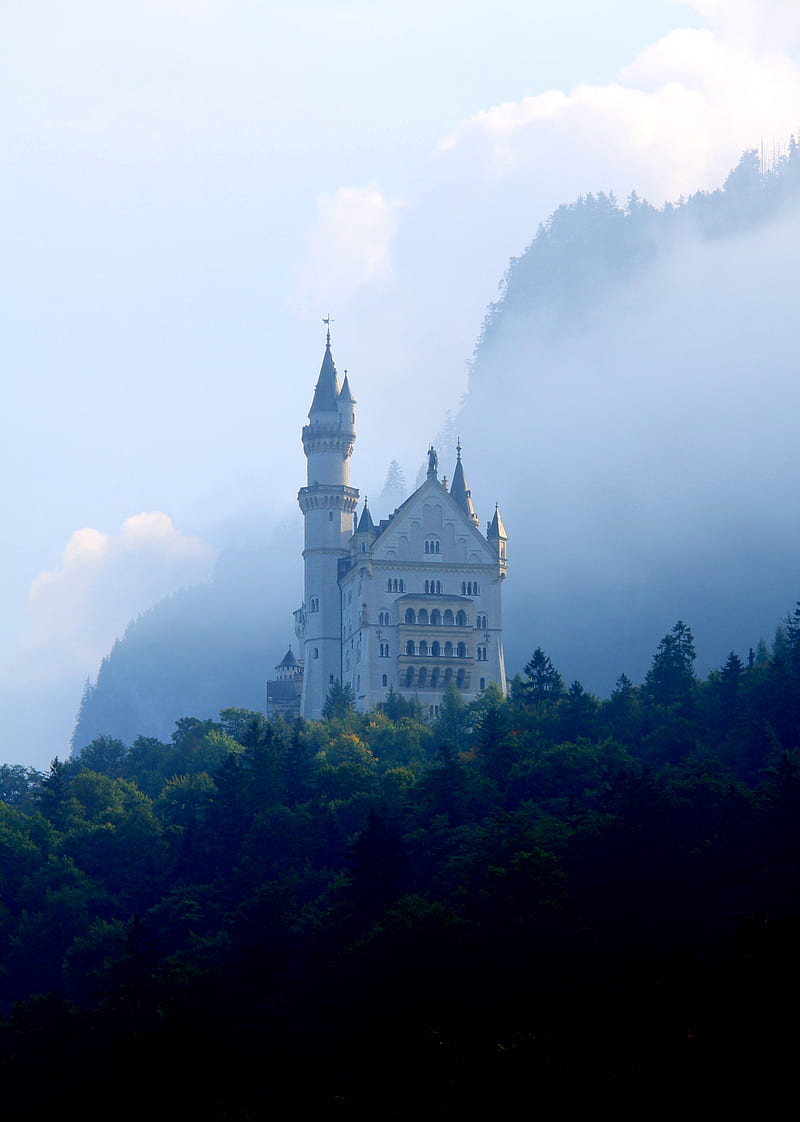 castle, palace, tower, forest, fog, HD phone wallpaper