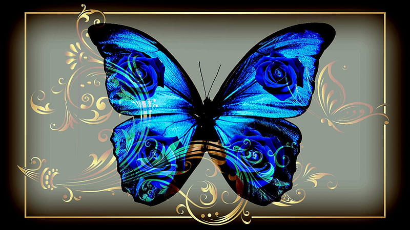 BUTTERFLY Blue Jewelry, butterfly, rose, flower, jewel, bonito, hop ...