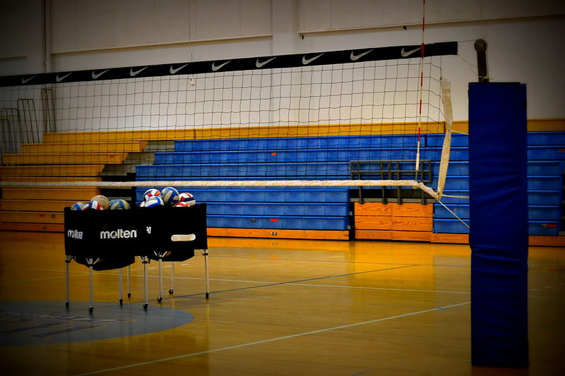 volleyball court, court, volleyball, esports, HD wallpaper