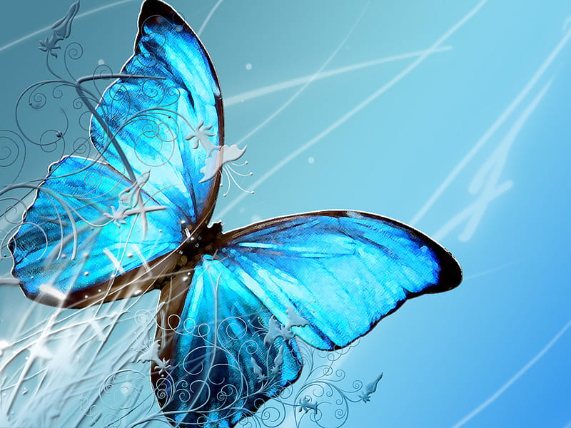 Blue Butterfly, beauty, delicate, butterfly, blue, HD wallpaper