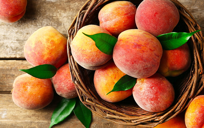 peaches basket, close-up, fresh fruits, summer, fruits, HD wallpaper
