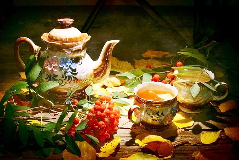 Still life, colorful, autumn, abstract, tea, set, leaves, graphy, cup, color, nature, HD wallpaper