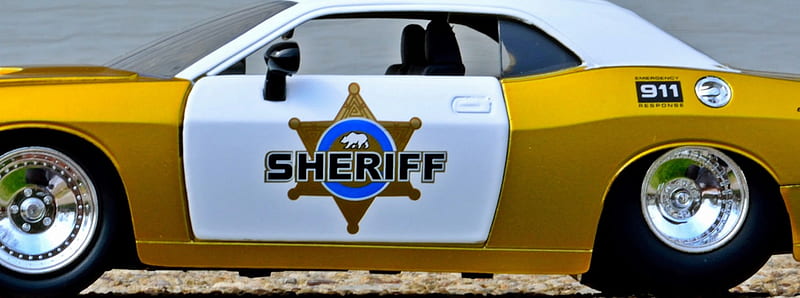 Sheriff Challenger, challenger, 2008 dodge challenger, dodge challenger, police car, HD wallpaper