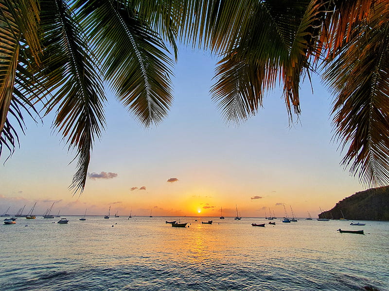 Martinique Sunset, beach, boat, flowers, sea, sun, tropical, HD wallpaper