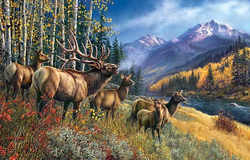 Elk Anthem, riverbank, shore, anthem, bonito, mountain, nice, cliffs, elk, painting, peaks, river, animals, art, forest, lovely, sky, trees, lake, nature, HD wallpaper