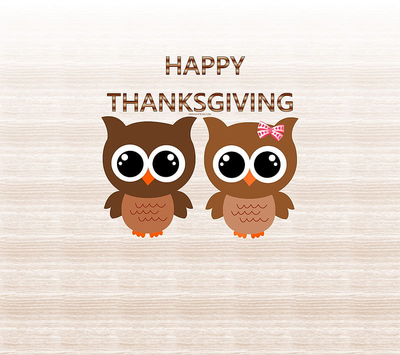 Happy Thanksgiving, brown, owl, turkey, HD wallpaper