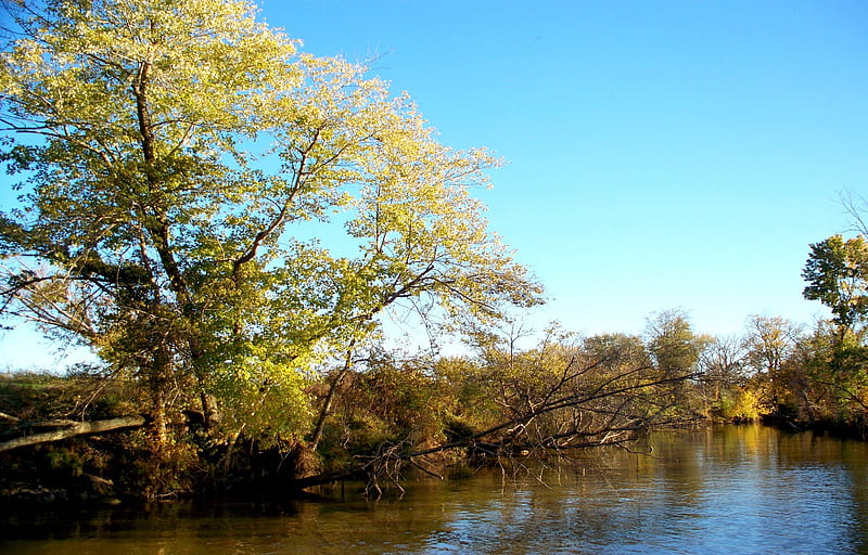 Cumberland River, fall, autumn, water, cumberland, river, trees, sky, blue, HD wallpaper