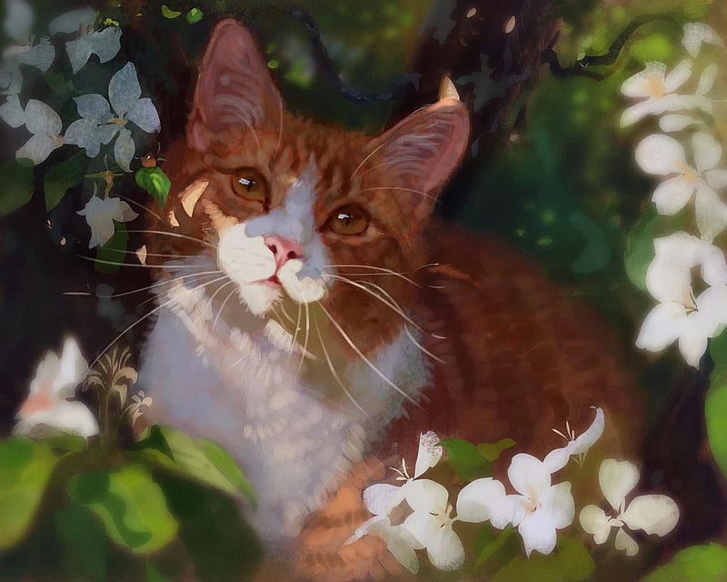 Gatos, gato, flor, animal doméstico, artístico, Fondo de pantalla HD |  Peakpx