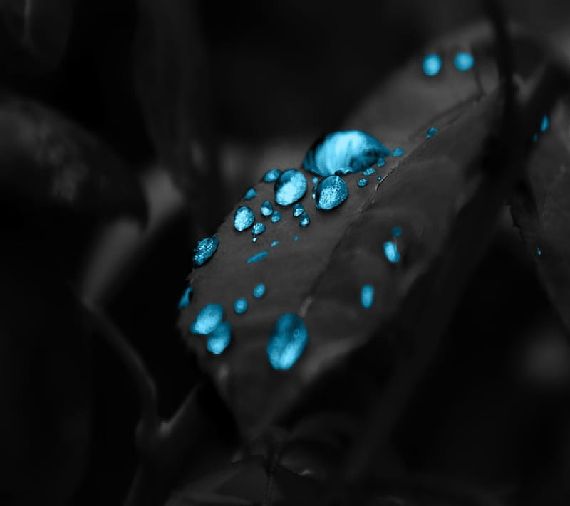 Blue Drops, amoled, black, new, oled, rain, water, HD wallpaper