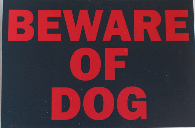 Beware of Dog, fun, entertainment, people, HD wallpaper