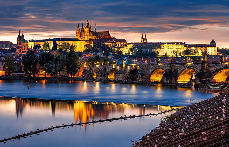 Charles Bridge and Castle, Prague, Moldava, czech republic, buildings, river, r, reflection, HD wallpaper