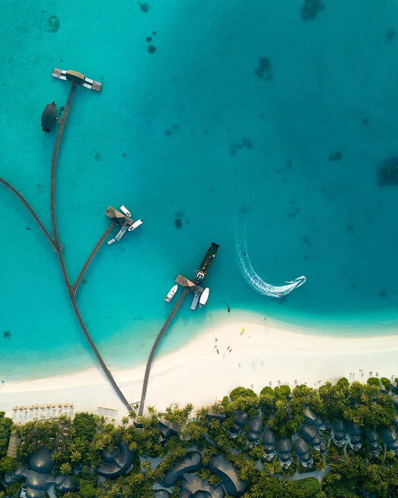 ocean, aerial view, coast, bungalow, palm trees, HD phone wallpaper
