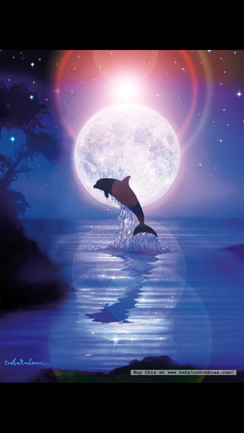 dolphin, moonlight, HD phone wallpaper
