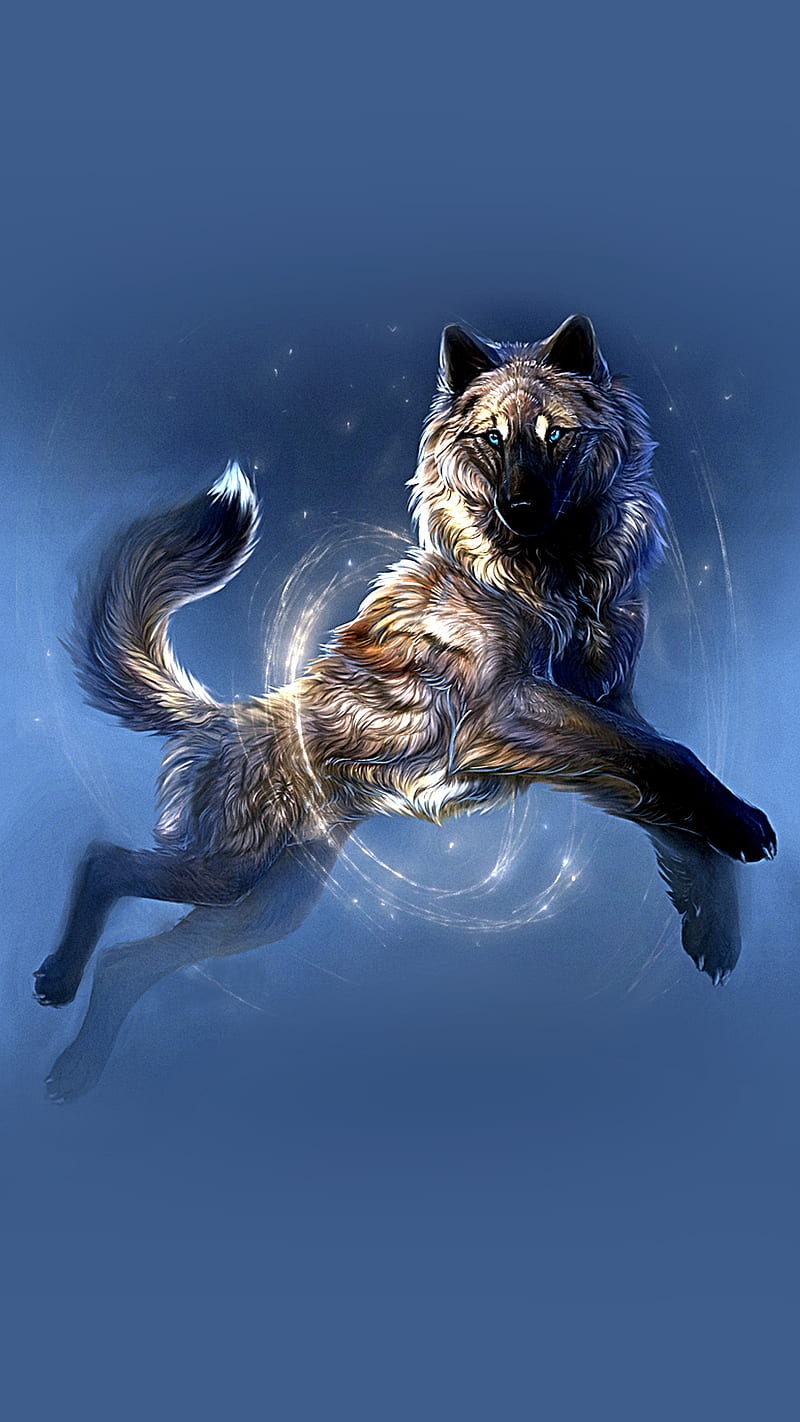 wolf, animal, loup, HD phone wallpaper