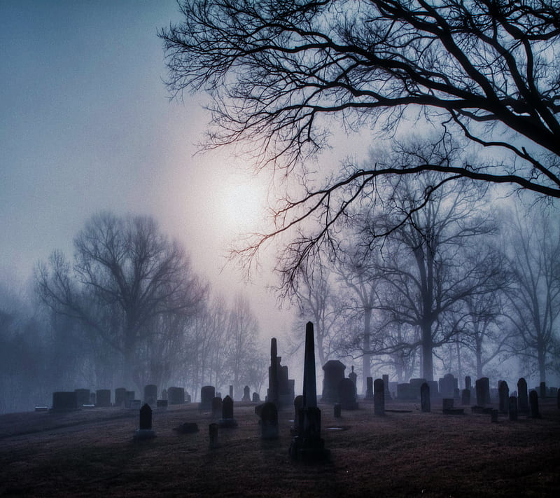 blue cemetery, cemetery, creepy, death, fog, graves, graveyard, trees, HD wallpaper