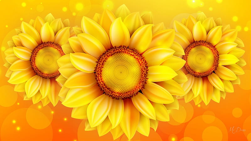 Glow of Sunflowers, fall, autumn, yellow, sparkle, gold, sunflowers, bright, summer, flowers, Firefox Persona theme, HD wallpaper