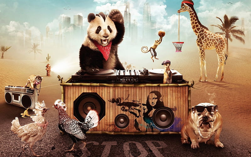 party animals, panda, monkey, chicken, giraffe, dog, meercat, HD wallpaper